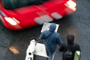 Two pedestrians and a dog crossing a wet street with a speeding red car approaching.